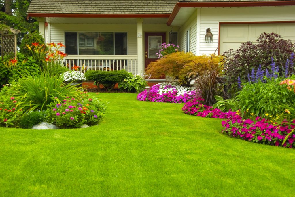 5 Tips to Take Care of the Lawn