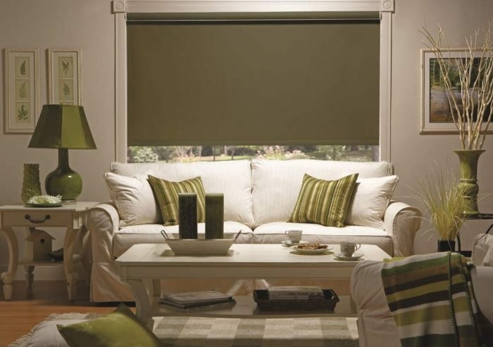 A Complete Guide To Choosing The Right Roller Shades Your For Windows